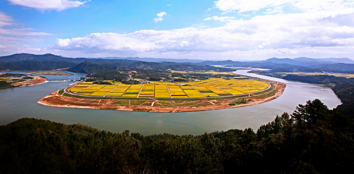 Nakdonggang River Save Project